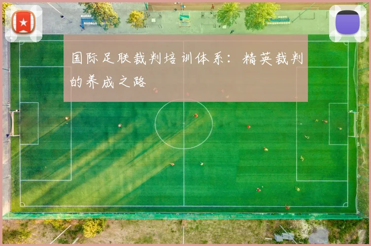 国际足联裁判培训体系:精英裁判的养成之路