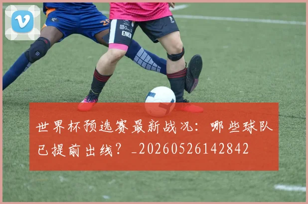 世界杯预选赛最新战况:哪些球队已提前出线?_20260526142842